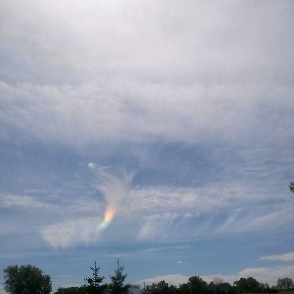 Meet your Posher, Ina - Picture 1 of 1